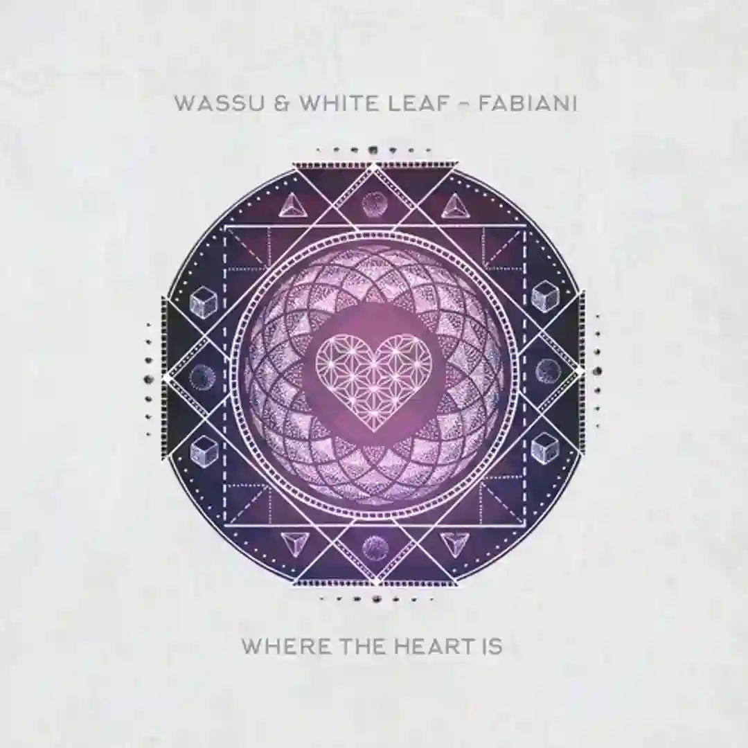 Fabiani (Wassu Remix) cover