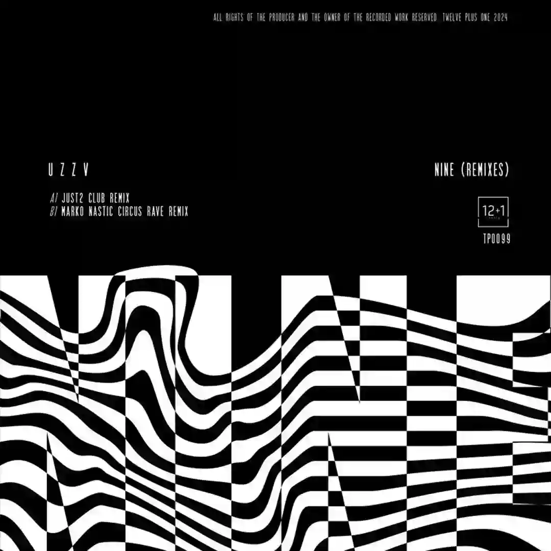 NINE (Remixes) cover