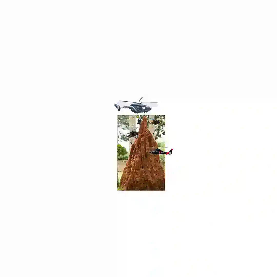 Tourisme (Original Mix) cover