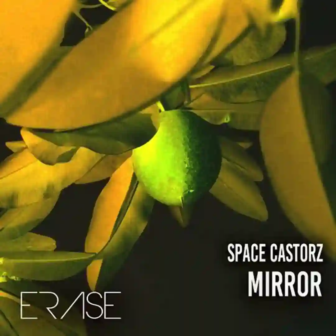Mirror cover