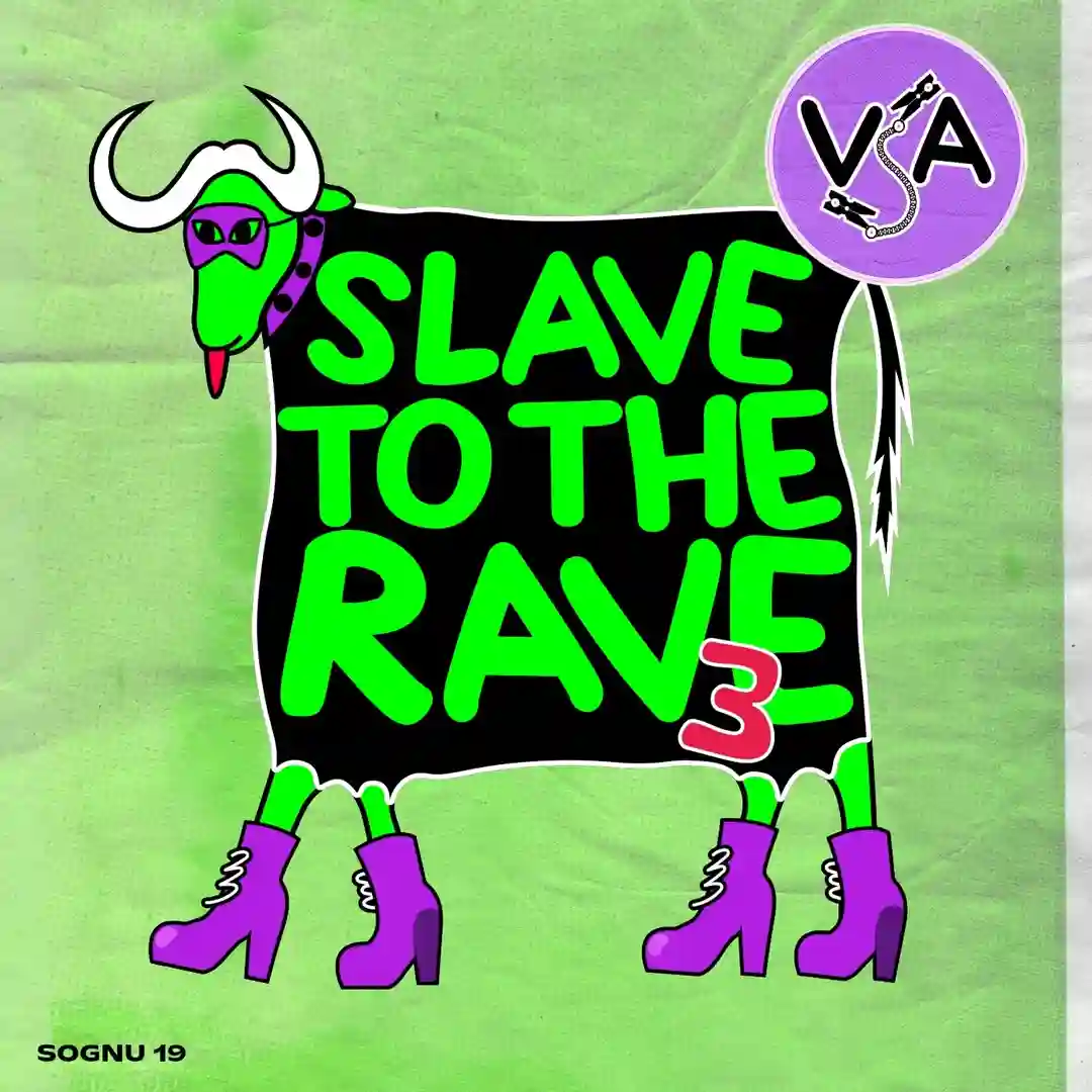 A Flea On My Soup (Original Mix) cover