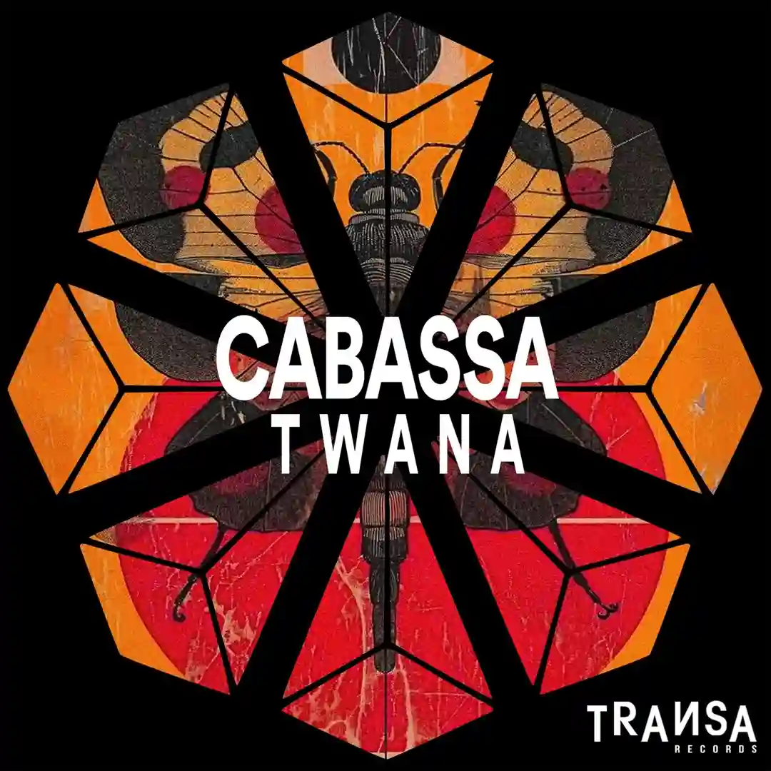 Twana (Extended Mix) cover