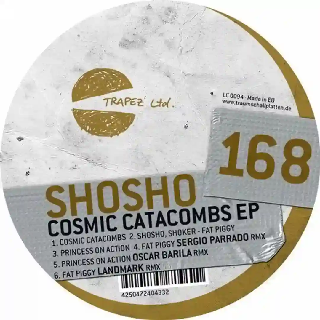 Fat Piggy (Original Mix) cover