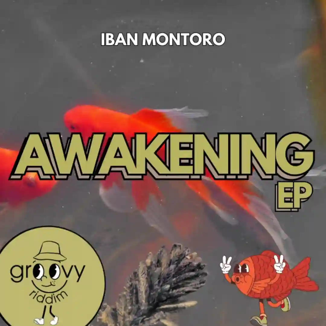Awakening (Original Mix) cover