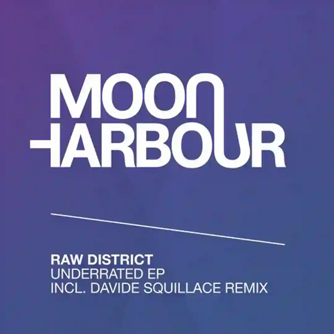 Underrated feat. Forrest (Davide Squillace Remix) cover