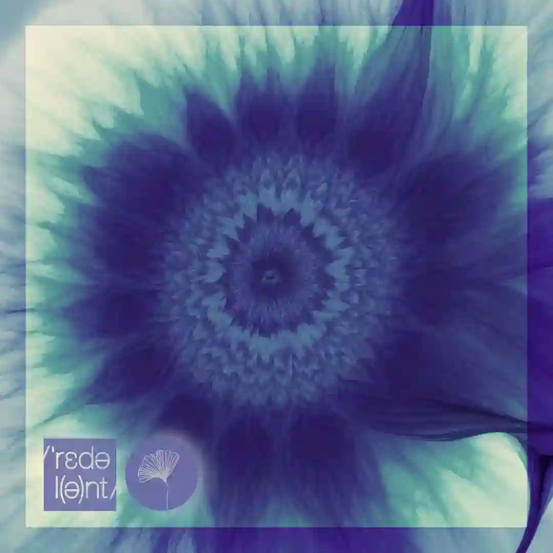 Bahia (Original Mix) cover