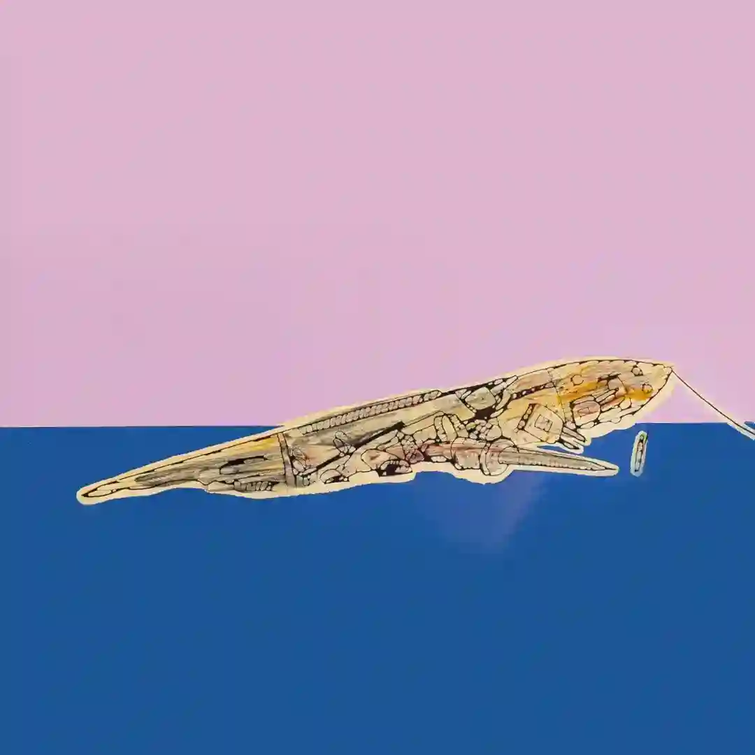 Bulembu EP cover