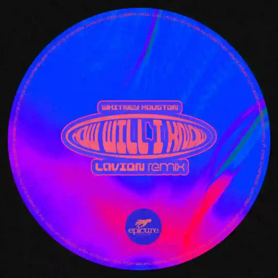 How Will I Know (House remix) cover