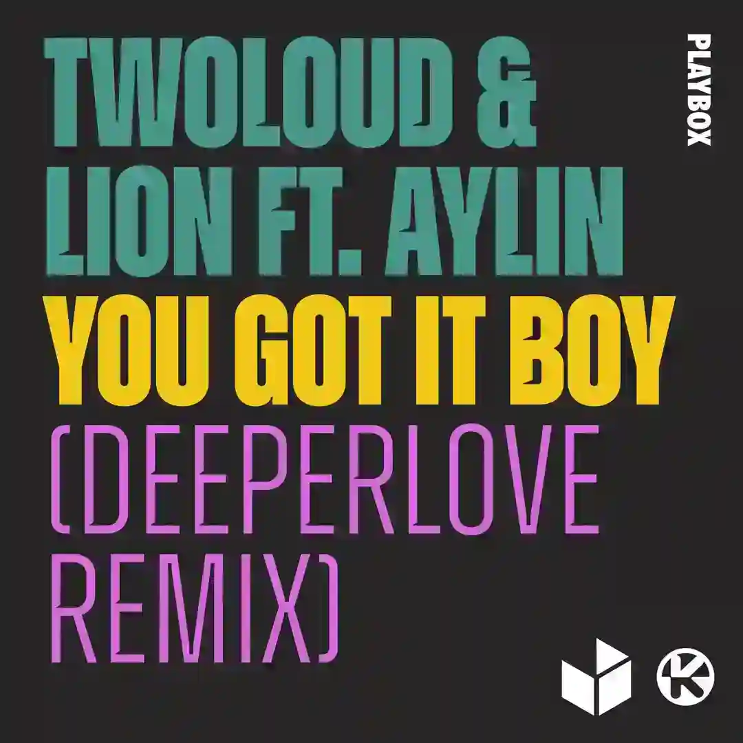You Got It Boy (Deeperlove Remix) cover