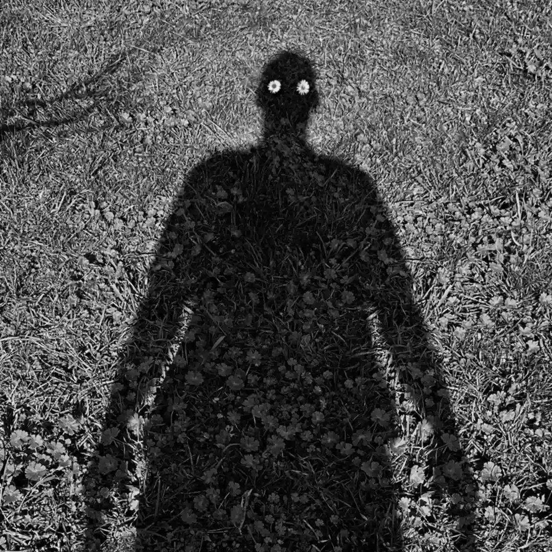 WHAT I DO IN THE SHADOWS, Pt. 1 cover