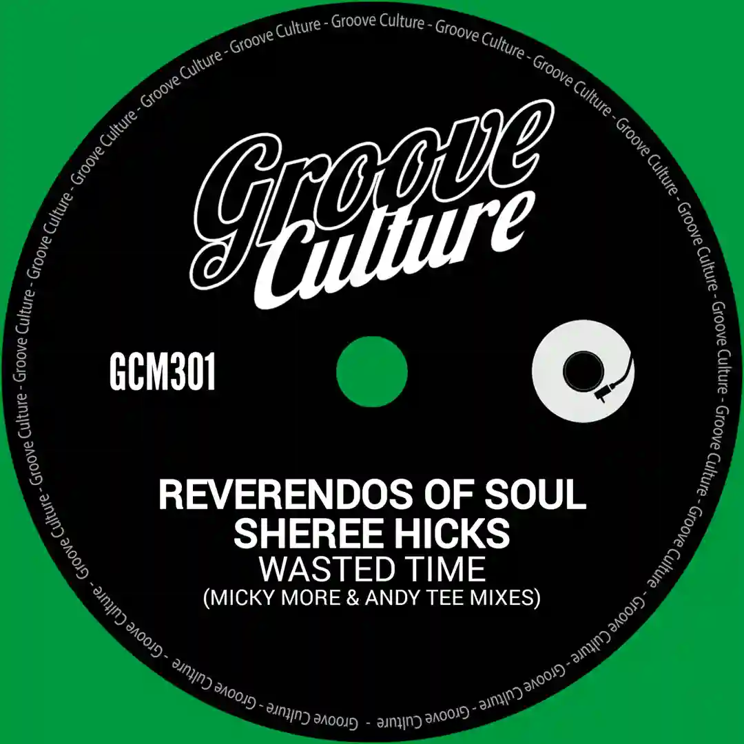 Wasted Time (Micky More & Andy Tee Edit) cover