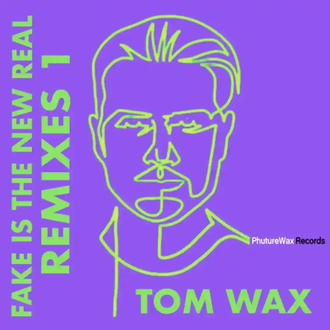 Fake Is the New Real (Original Mix) cover