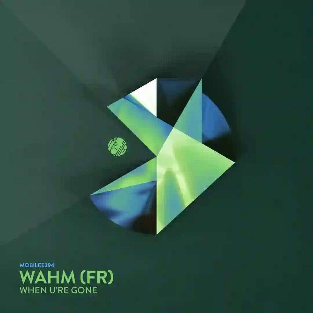 When U're Gone (Original Mix) cover