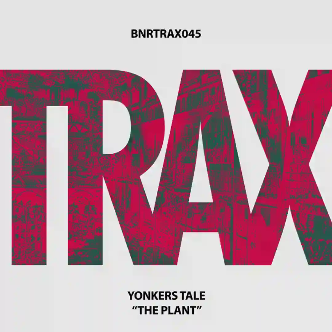 King cover