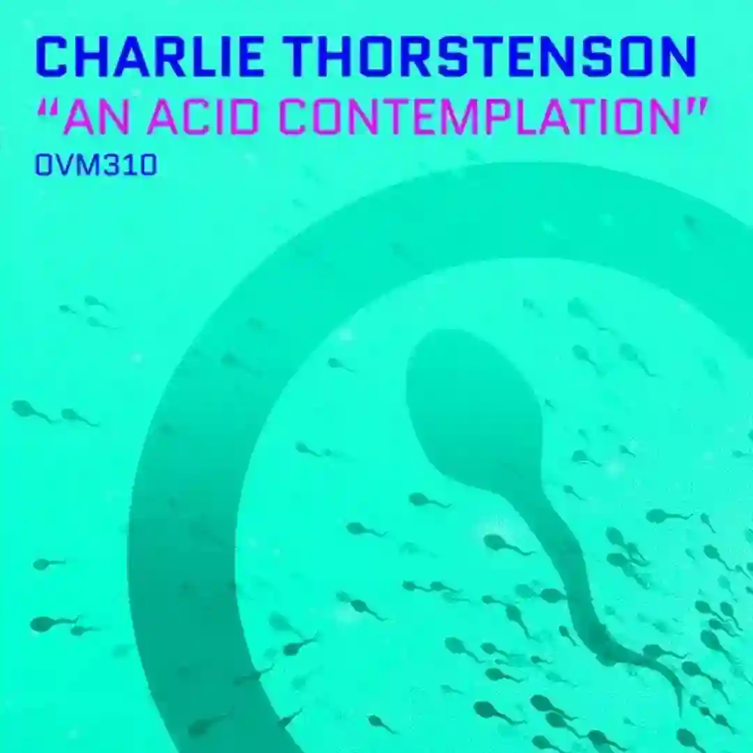 An Acid Contemplation cover
