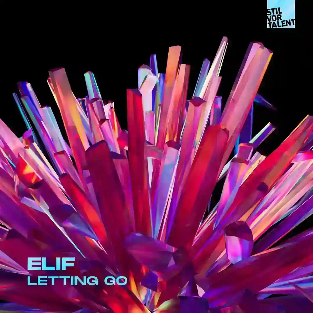 Letting Go cover