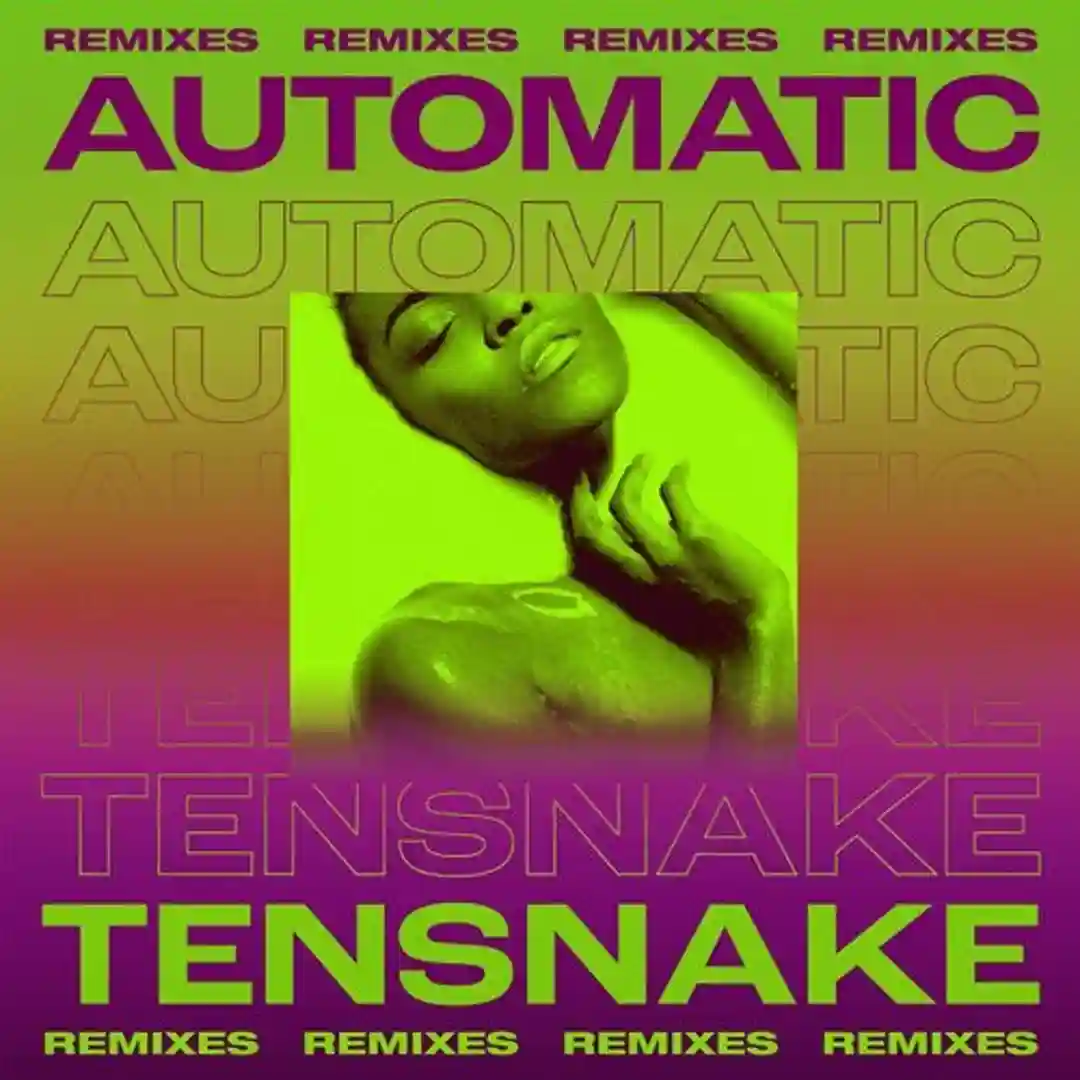 Automatic feat. Fiora (Gerd Janson Dub Mix) cover