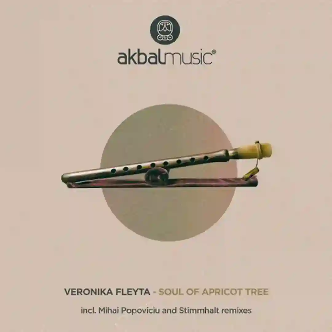 Soul Of Apricot Tree (Original Mix) cover