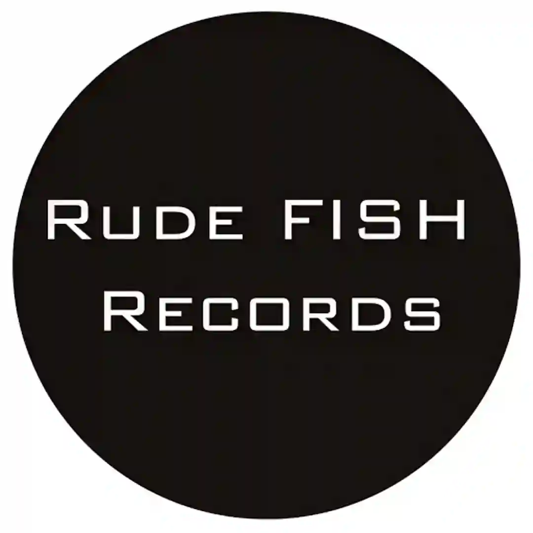 Funky Fresh (Original Mix) cover