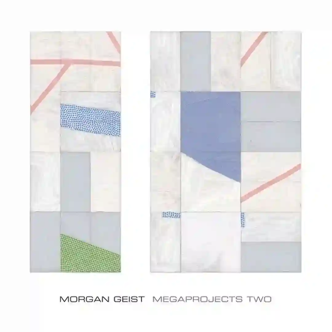 Fuzzy Detail    cover