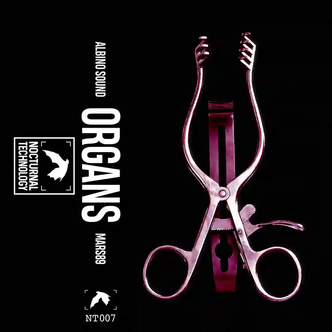 Ultimately Brain (Original Mix) cover