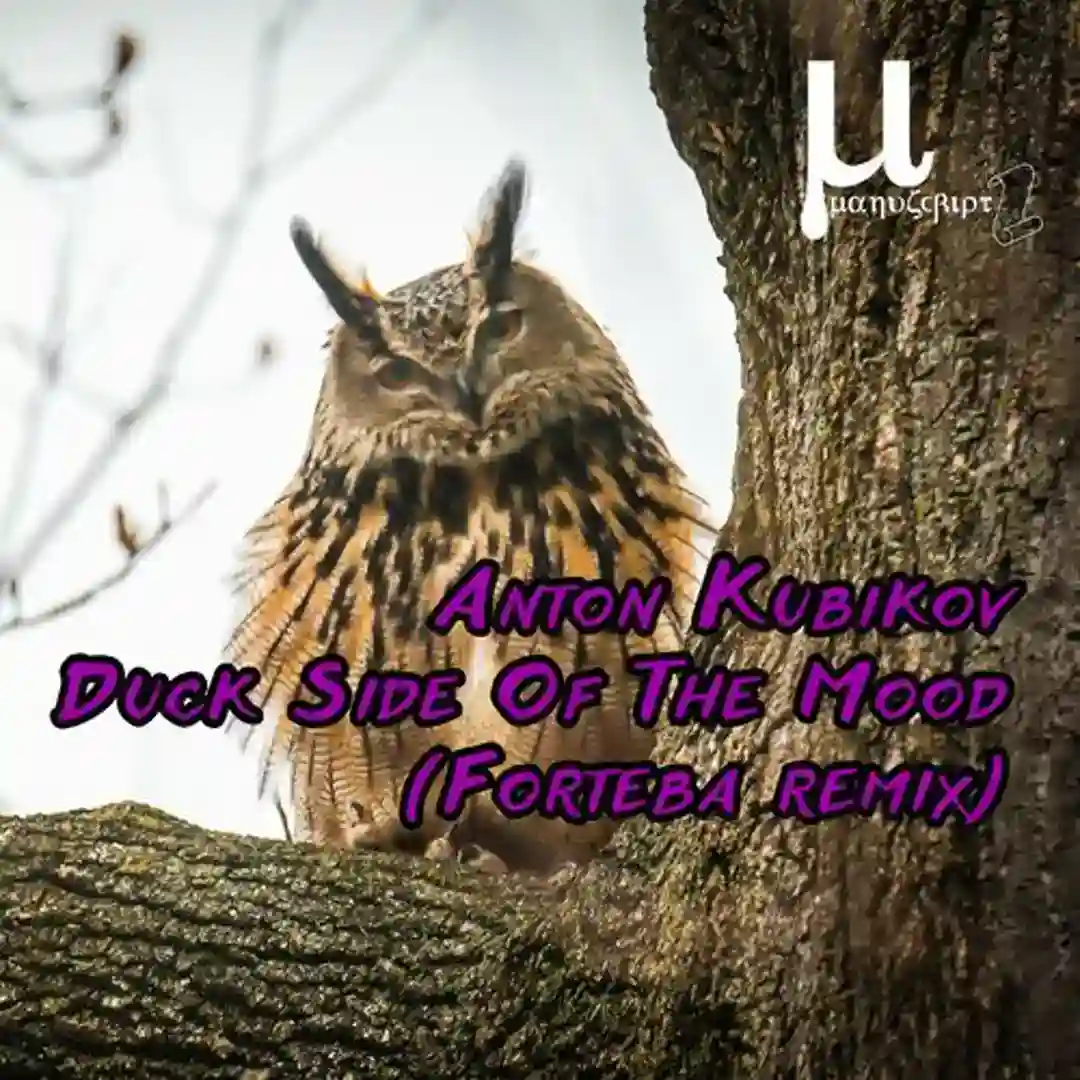 Duck Side Of The Mood (Forteba Remix) cover
