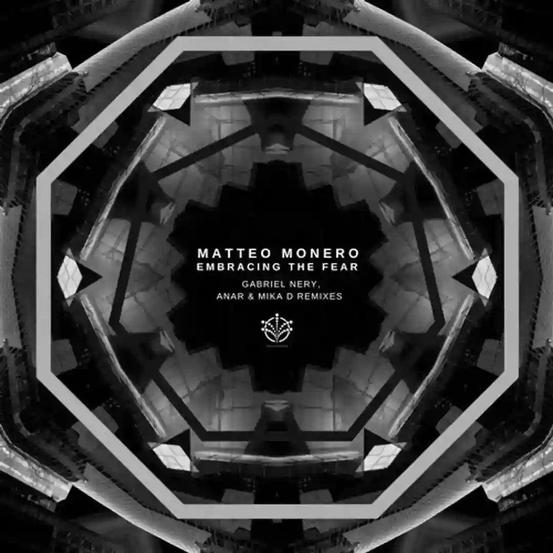 Embracing the Fear (Anar & Mika D Remix) cover
