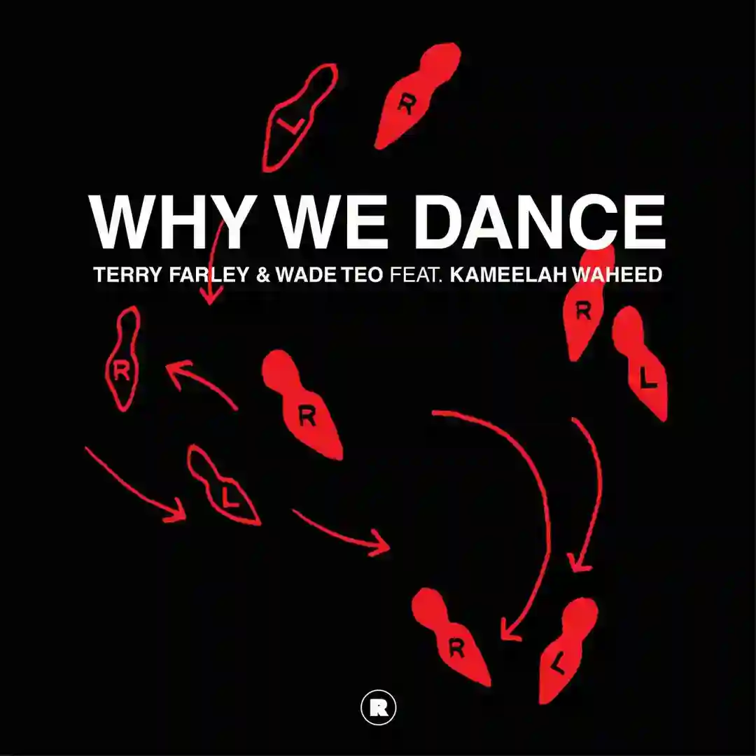 Why We Dance cover