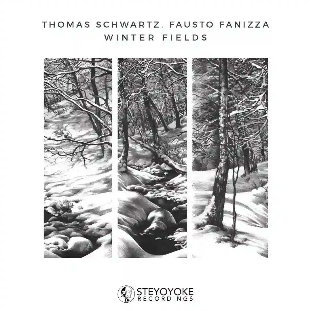 Winter Fields cover