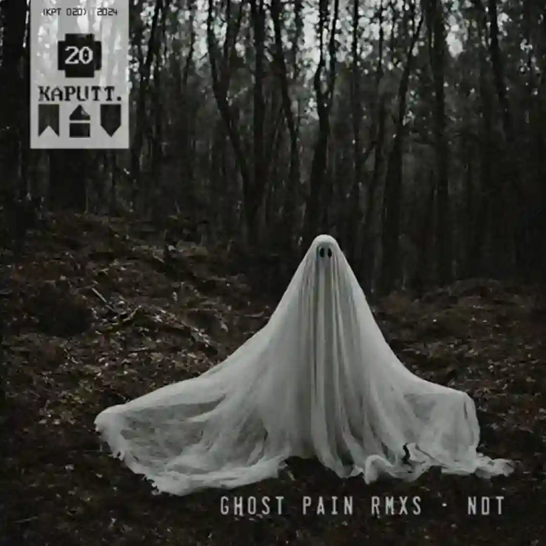 Ghost Pain (The Virginia Valley Remix) cover