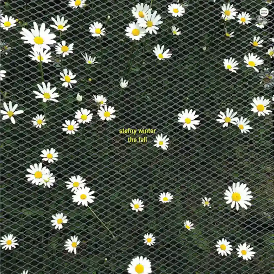 The Fall cover