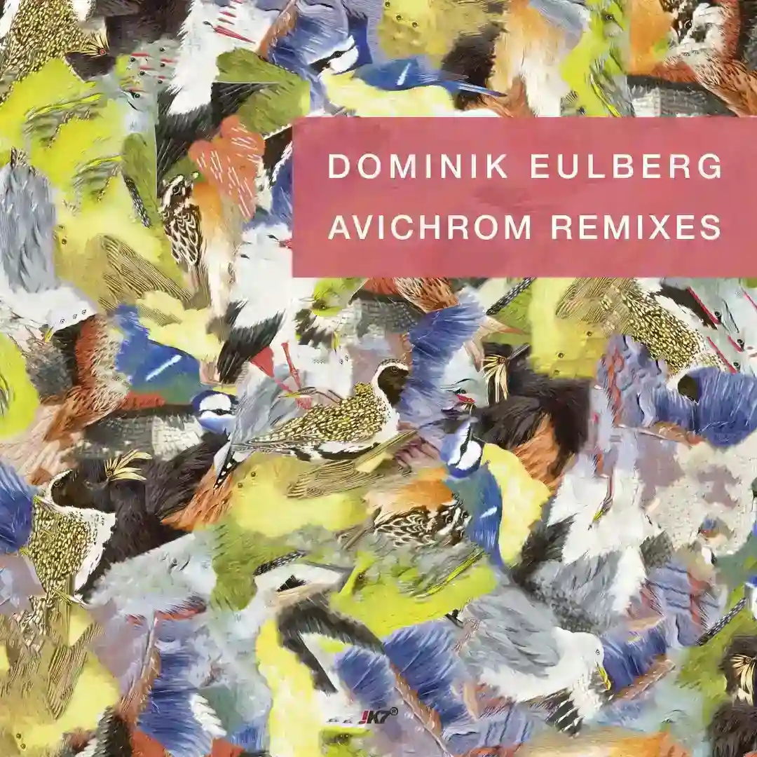 Schwarzhalstaucher (Aera Remix) cover