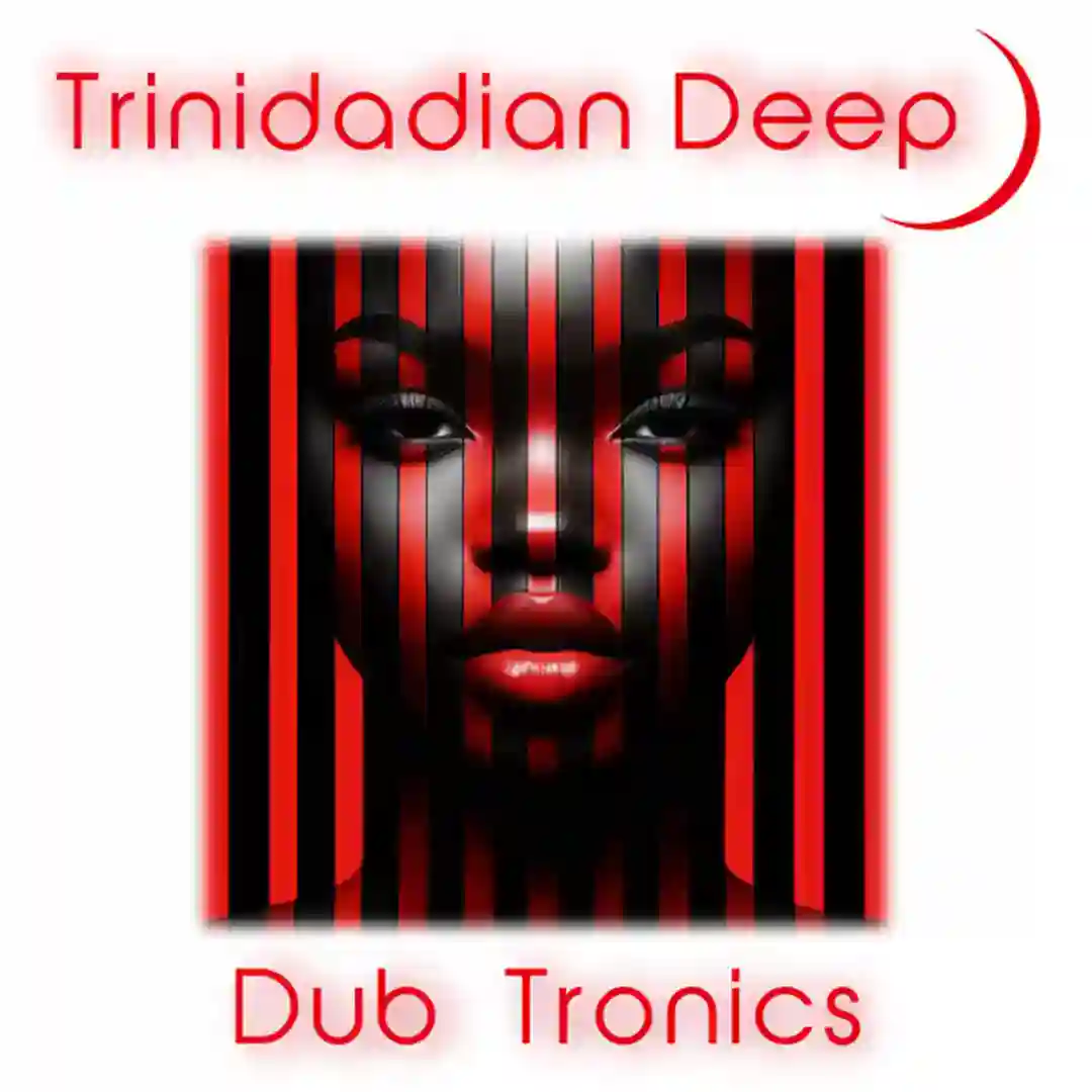 Dub Tronics cover