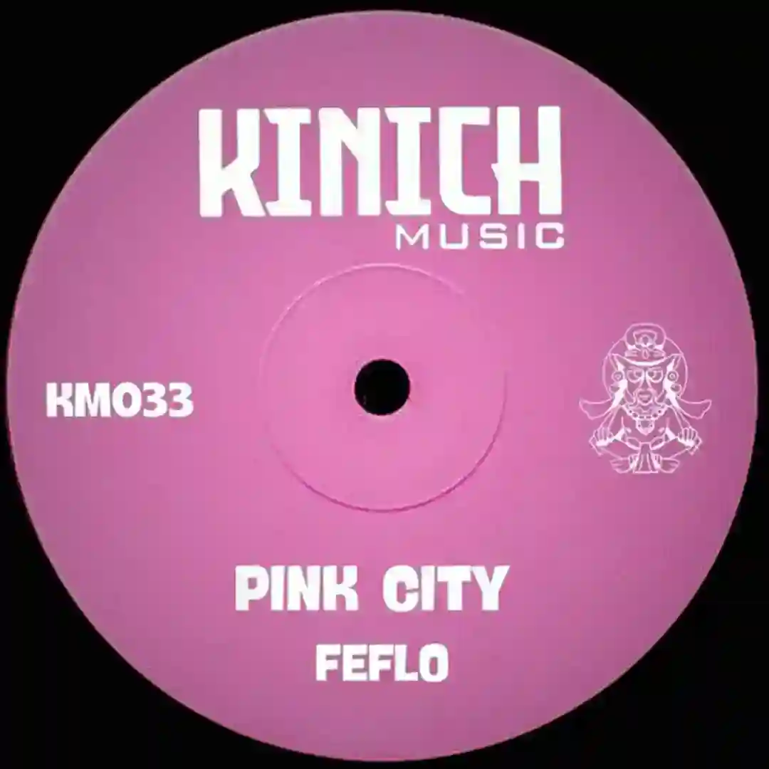 Pink City cover