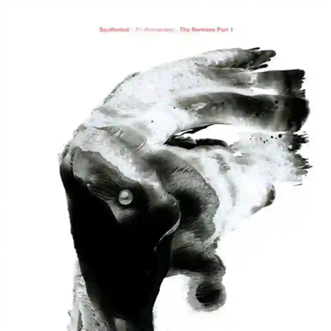 The Chosen Fools (Salva's Shamanized Rework) cover