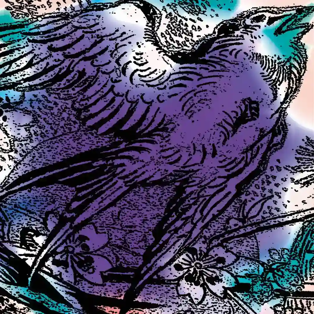 Brando cover