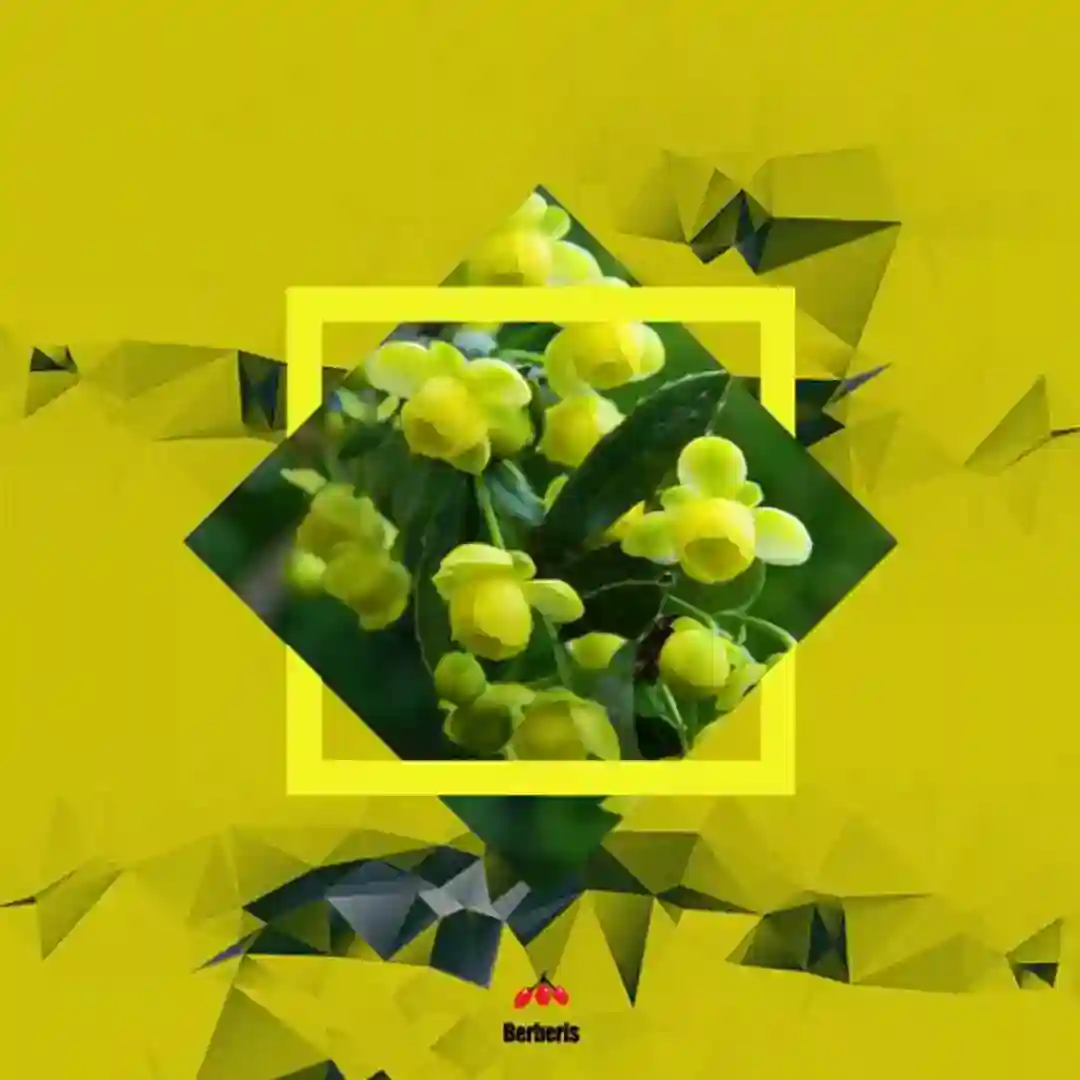 In Sight EP cover