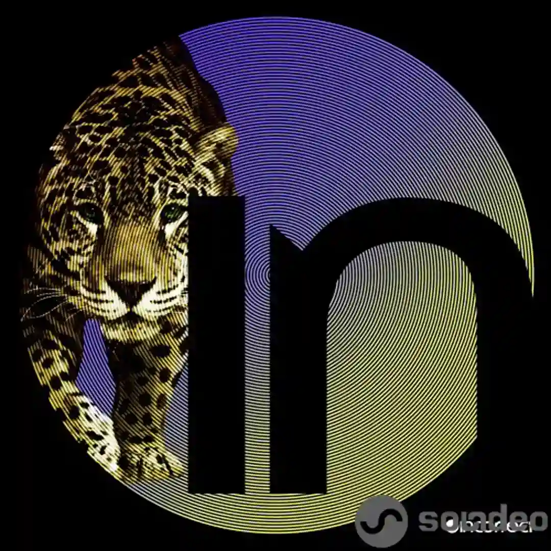 Say Hey cover