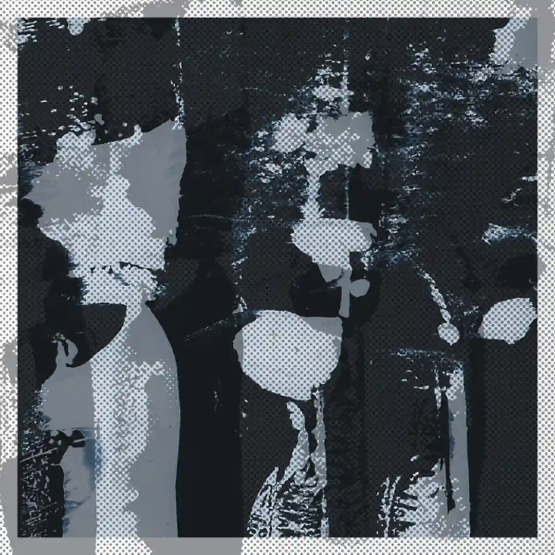 power spectrum cover