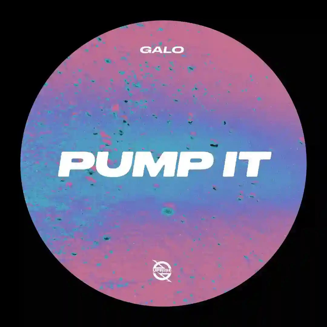 Pump It (Extended Mix) cover