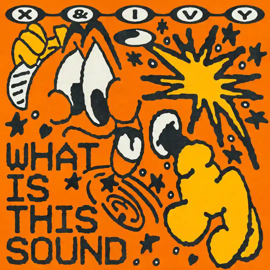 What Is This Sound cover