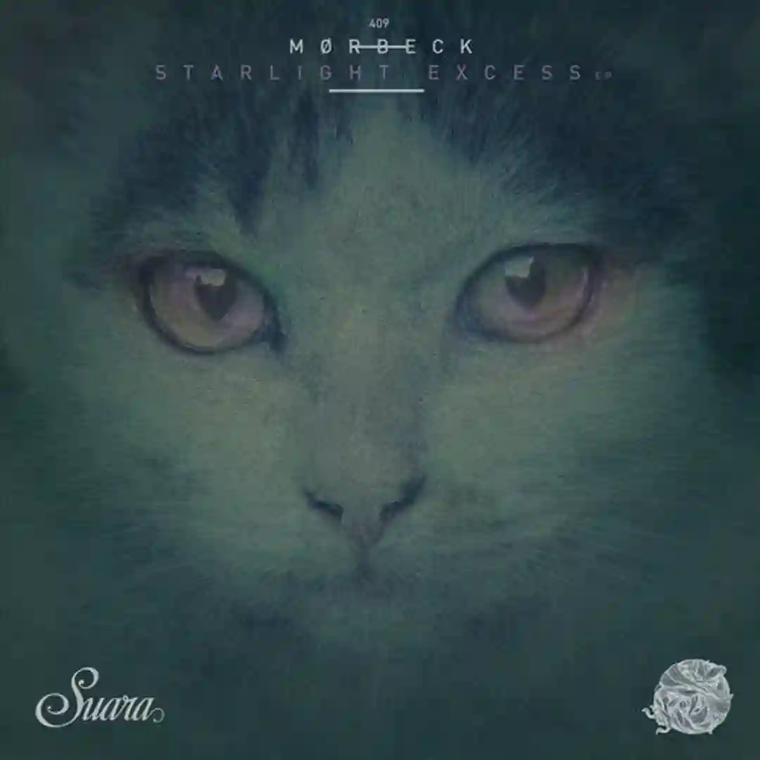 Starlight Excess EP cover