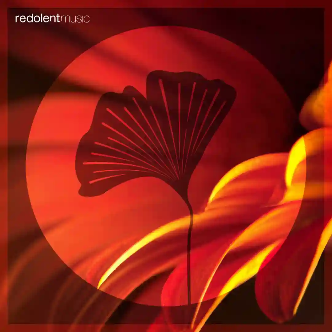 Aura (Original Mix) cover