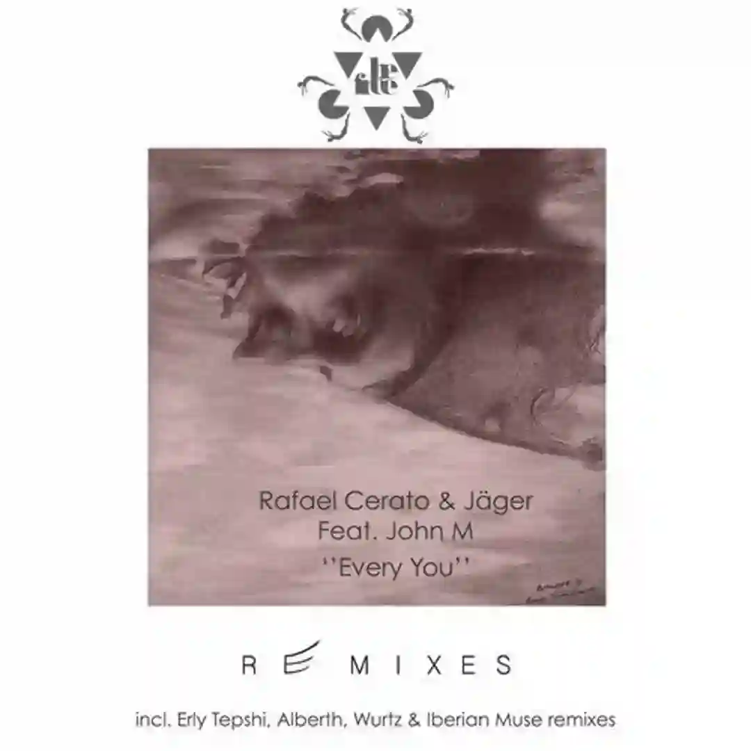 Every You (Remixes) cover