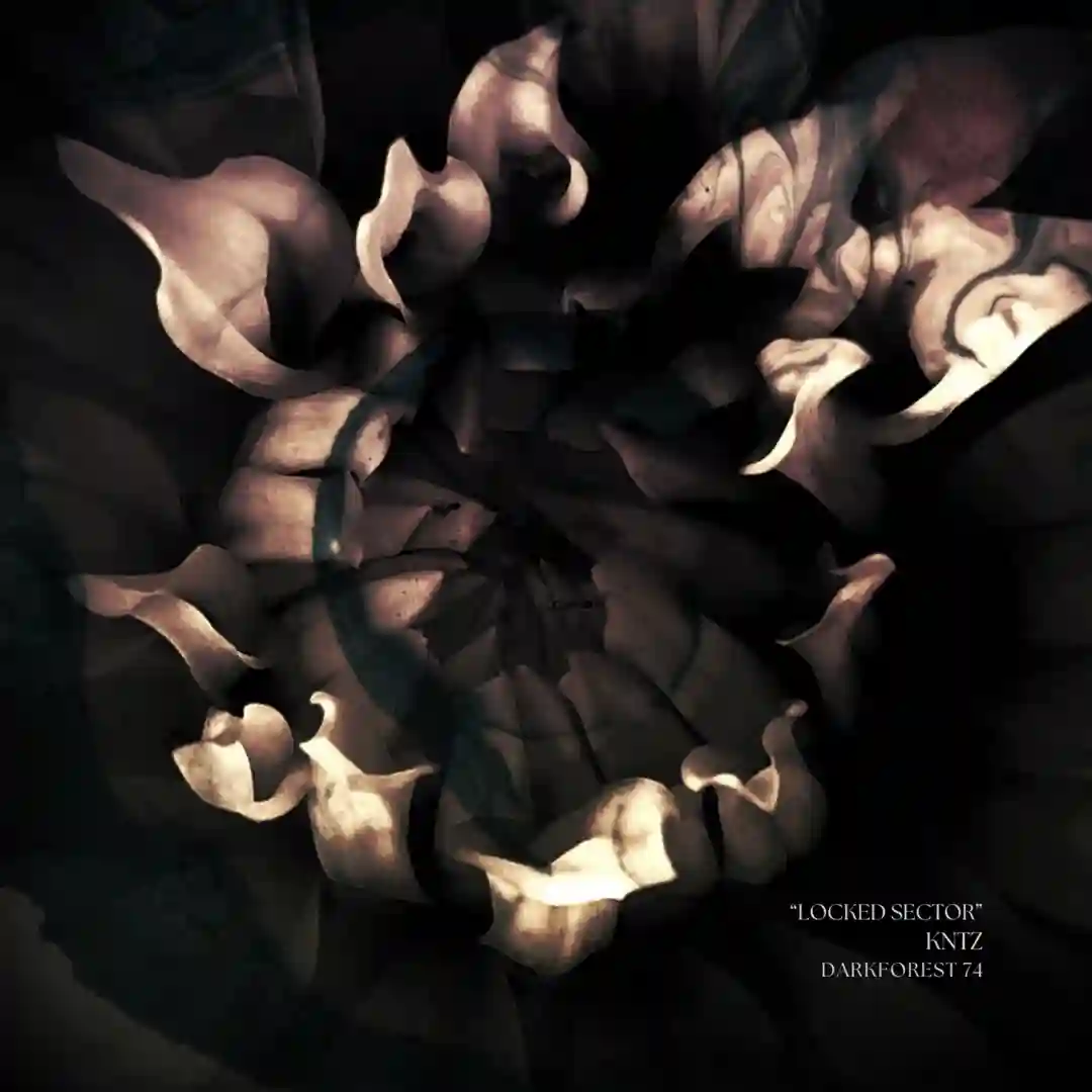 No Source (Original Mix) cover