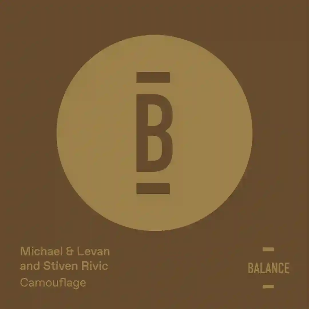 Camouflage cover