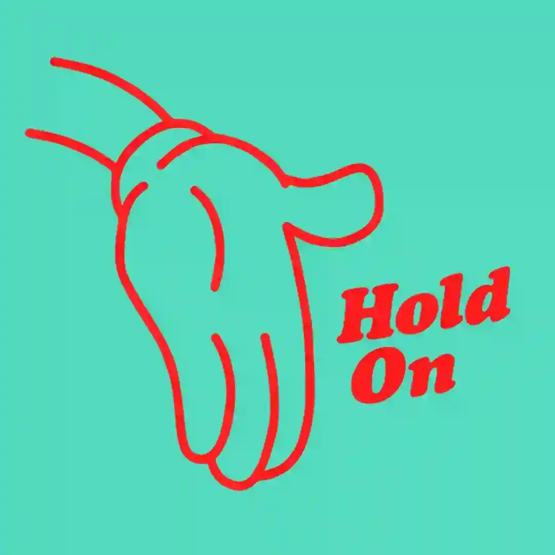 Hold On cover