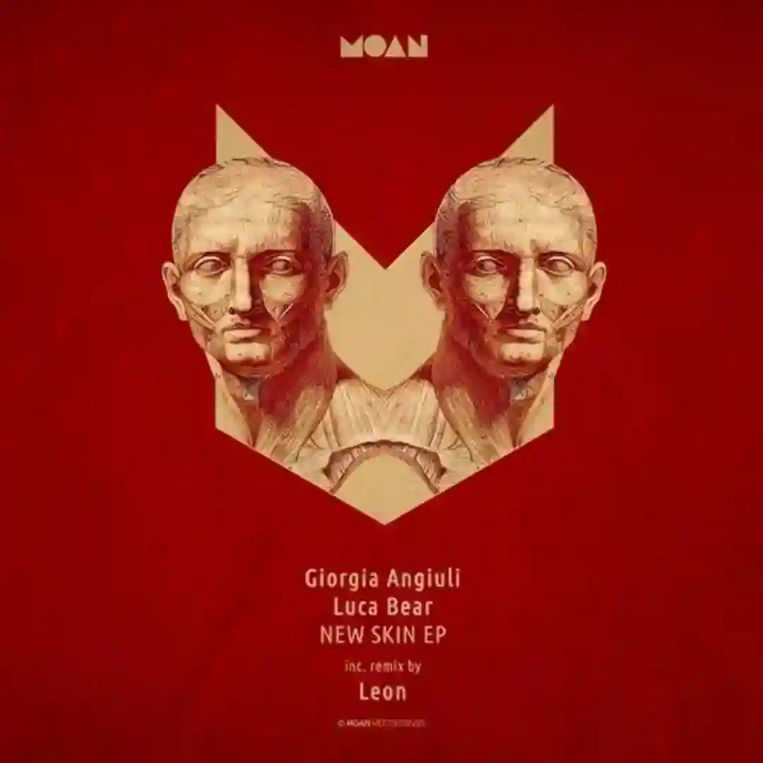 New Skin (Leon Remix) cover