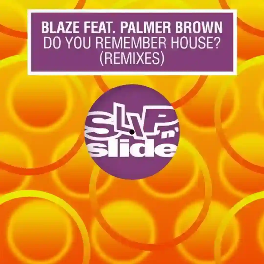Do You Remember House? - Remixes cover