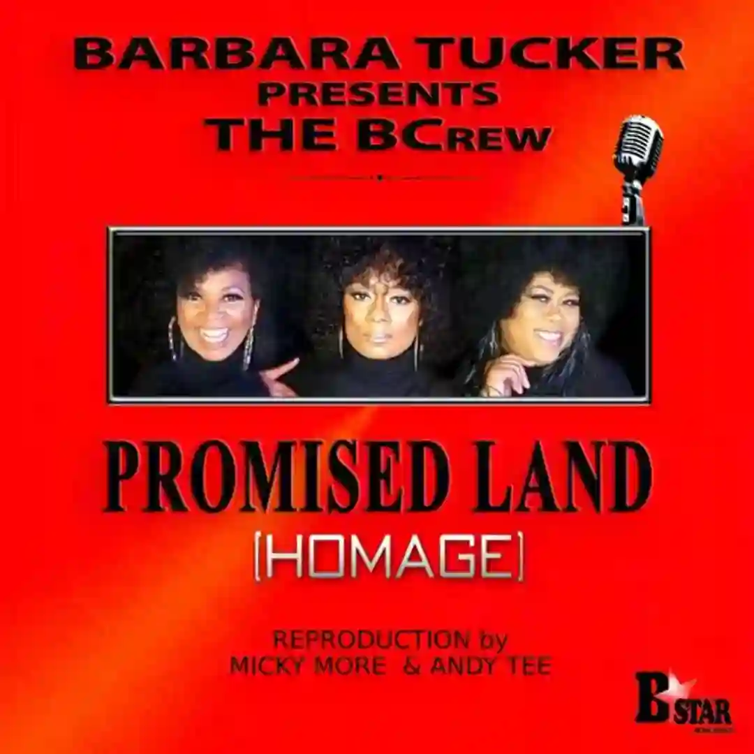 Promised Land (Homage) (Micky More & Andy Tee Edit) cover
